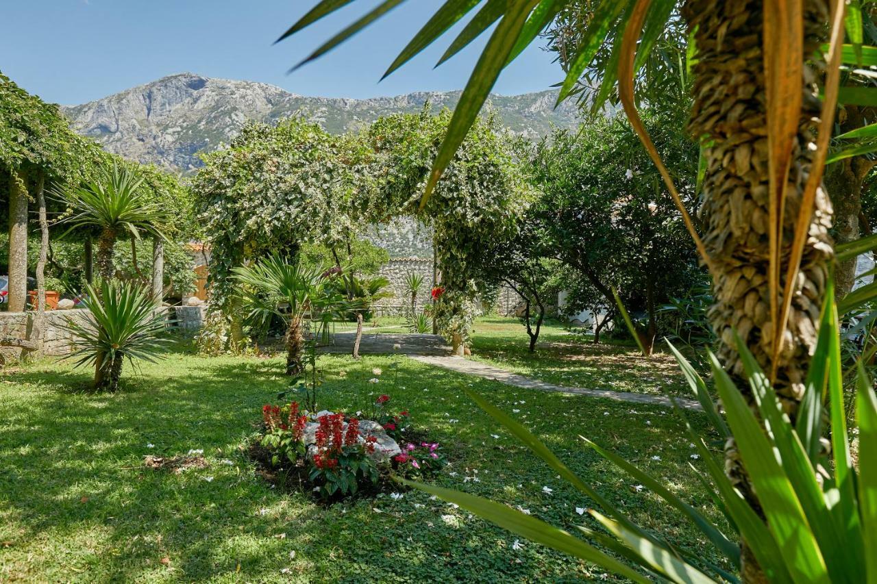 Mediterranean Holiday House & Apartments Kotor Ngoại thất bức ảnh